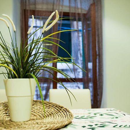 Apartman Flower Sibenik Bagian luar foto