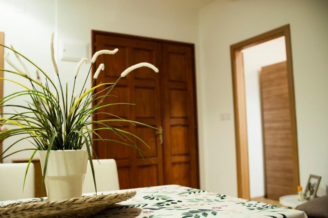 Apartman Flower Sibenik Bagian luar foto